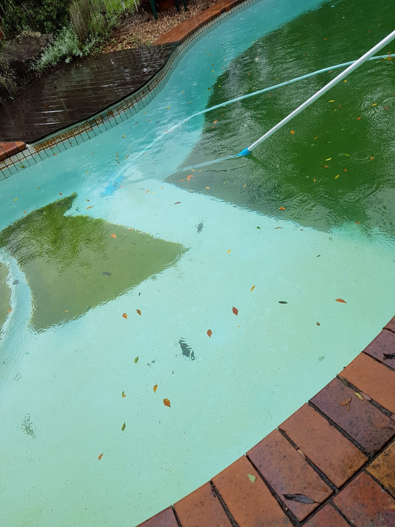 green swimming pool water treatment